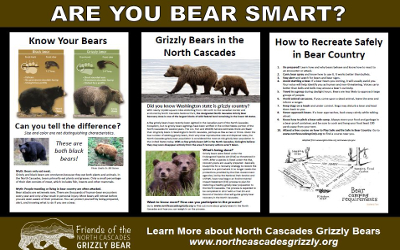 BearSmartPosterThumbnail