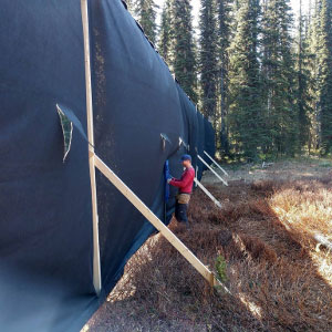 A volunteer helps construct new maternity pens in the South Selkirk Mountains, just over the border from northeast Washington. Photo: Save the Last Mountain Caribou
