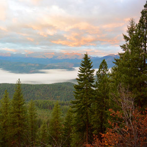 A new day rises over the Okanogan-Wenatchee National Forest. Photo: Chase Gunnell