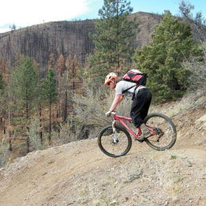 A mountain biker enjoying a designated biking track on non-wilderness national forest lands. Photo: USFS