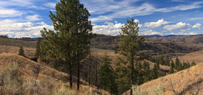The landscape of the Okanogan region. Photo: Rob Sinclair