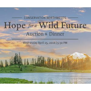 Join us for our 15th annual auction on Wednesday, April 25 on the Seattle Waterfront!
