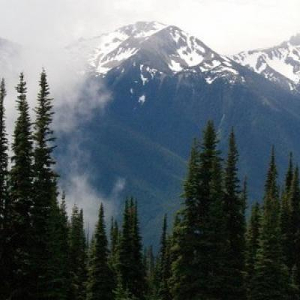 From the Olympic Peninsula and Capitol forests to Blanchard and Tiger mountains, Washington’s State Forests are popular places for outdoor recreation and other activities. Photo: DNR