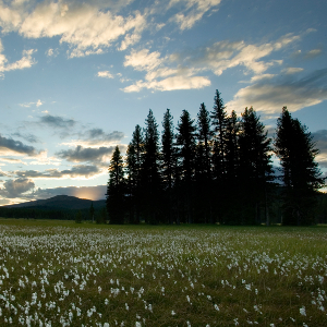 Your support allows us to protect, connect and restore wildlands and wildlife, from the Washington Coast to the Columbia Highlands and the British Columbia Rockies. Photo: Eric Zamora
