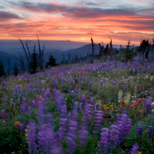 Sunset from Bald Snow Roadless Area in the Kettle River Mountain Range on the Colville National Forest. Photo: Eric Zamora