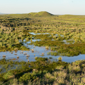 Spiva Butte, and important area of sage brush and wetlands habitat in north-central Washington. Photo: Ferdi Businger