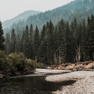 The Chiwawa River north of Lake Wenatchee, a key watershed in a new collaborative forest restoration project we're involved in. Photo: Kelly Smith