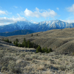A new national park reserve in BC's South Okanagan-Similkameen region would benefit local wildlife and communities. Photo: Parks Canada